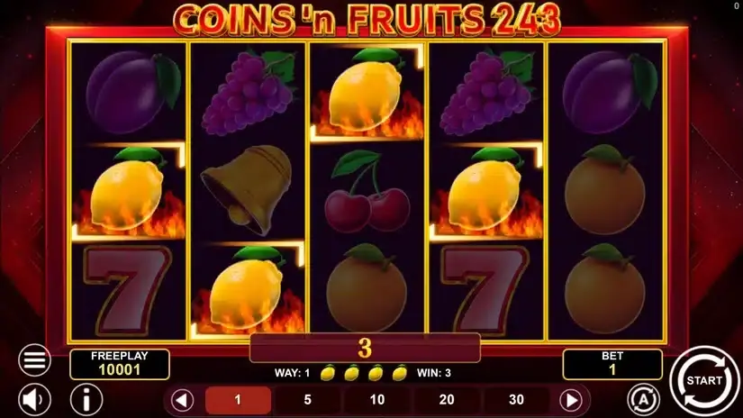 Coins and Fruits 243 slot screenshot 2
