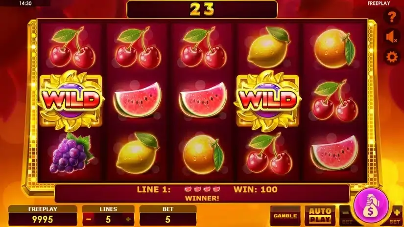 Book of Fruits slot screenshot 2