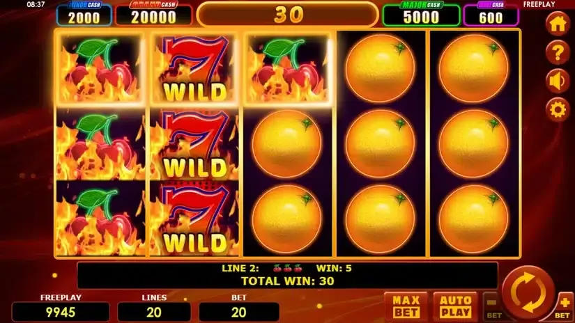 Hot Fruits 20 Cash Spins slot screenshot 3
