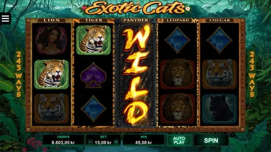 Exotic Cats slot screenshot 4