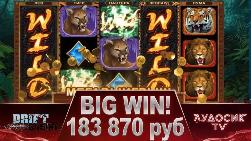 Exotic Cats slot screenshot 5