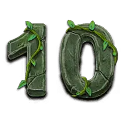 icon 10