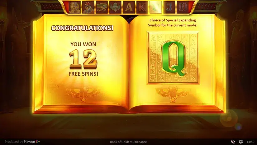 Book of Gold Multichance slot screenshot 8