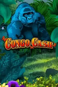 Congo Cash XL