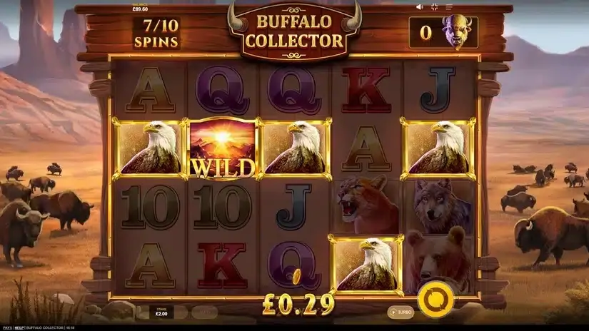 Buffalo Collector slot screenshot 2