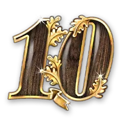 icon 10