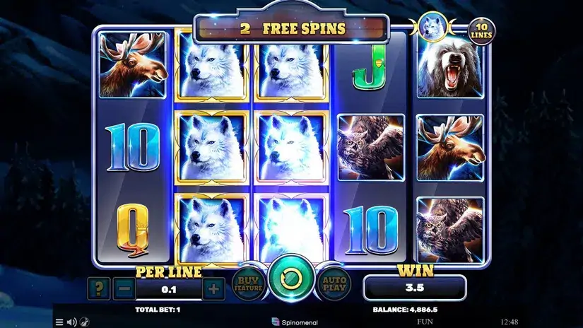 Book Of Wolves slot screenshot 6